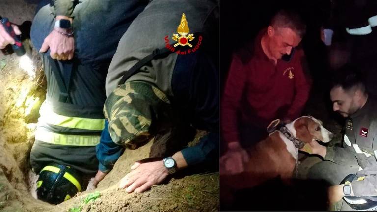 Savignano, il cane finisce incastrato in una tubatura: uno scavo di due metri per liberarlo