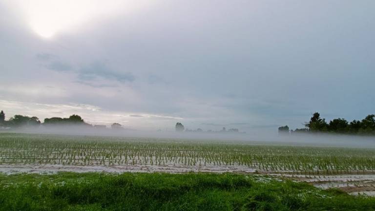 Forlì. E dopo la pioggia arriva la grandine