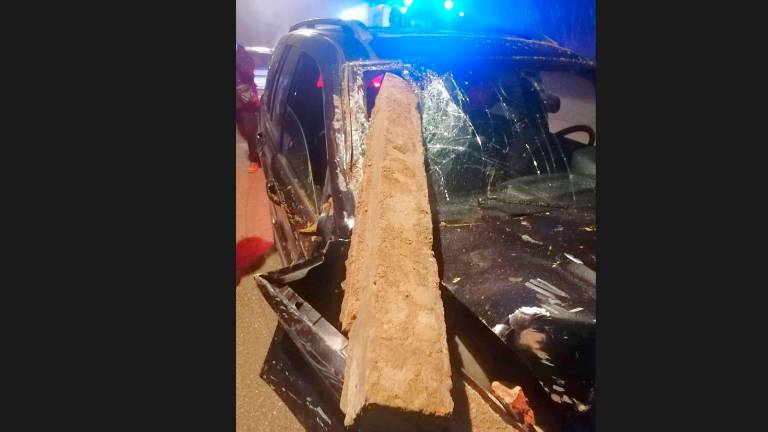 Foto Alessandro Gasparini