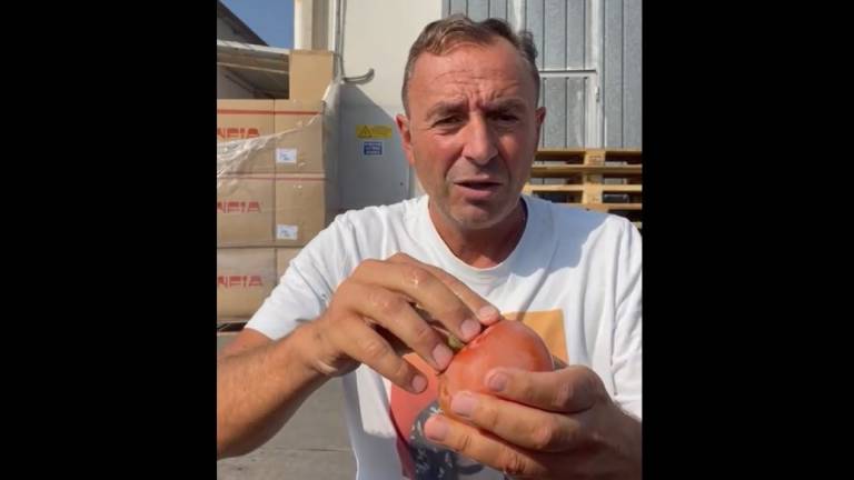 Cesena, il tutorial di come si mangia un caco in Romagna VIDEO