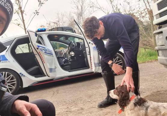 Ravenna, lancia il cane dall’auto in corsa sulla statale Romea
