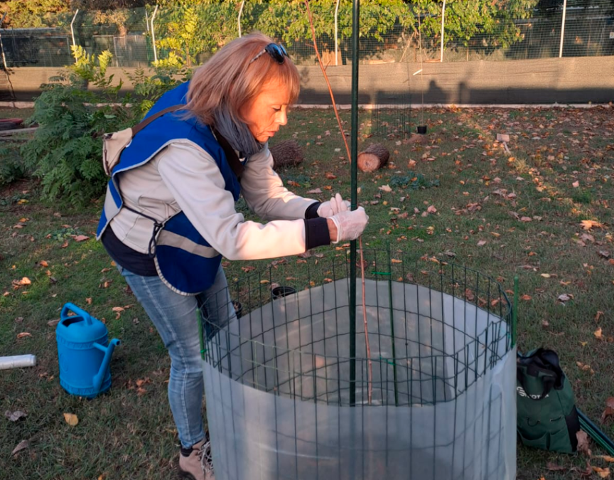 Ravenna, l’Enpa: “Il Comune non pianta nuovi alberi al canile, così ci abbiamo pensato noi”