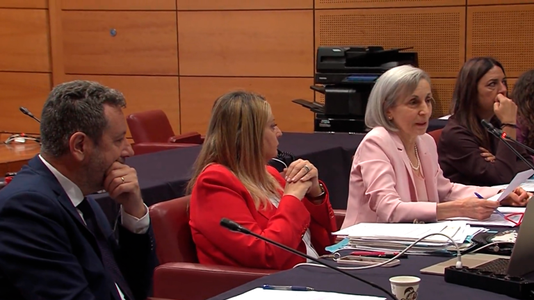 Un momento della seduta della IV commissione