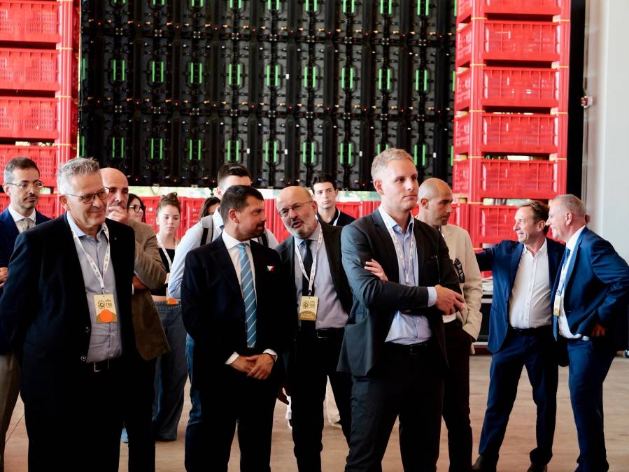 A Castel Bolognese il polo europeo del kiwi di Agrintesa - Gallery