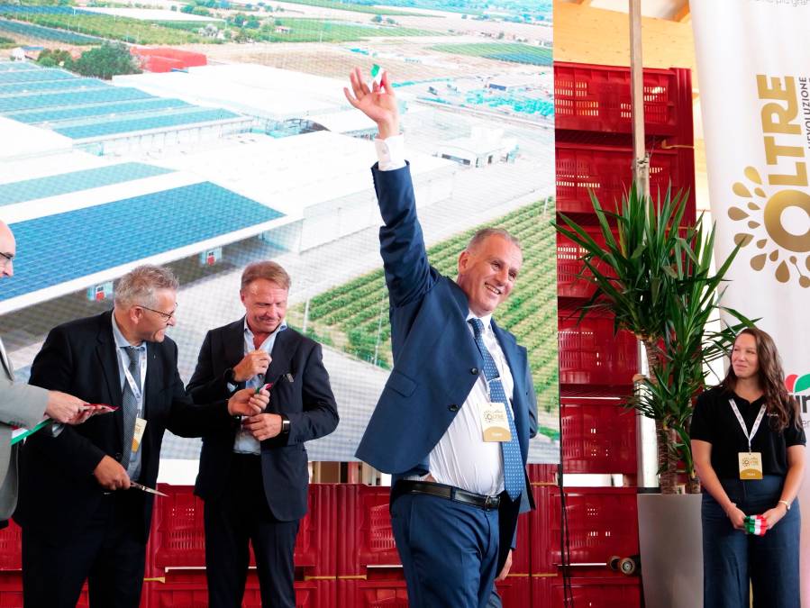 A Castel Bolognese il polo europeo del kiwi di Agrintesa - Gallery