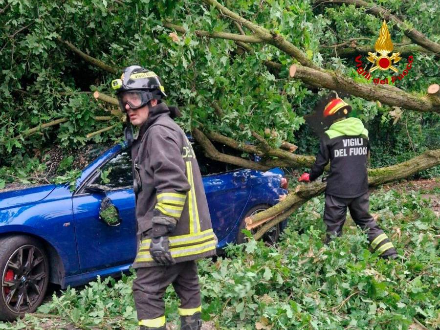 Non si segnalano criticità di rilievo a persone o feriti