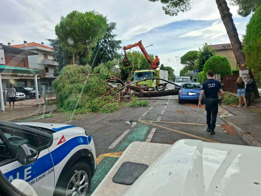 Nubifragio a Forlì: una strage di alberi e rami caduti, chiusi parchi e giardini pubblici FOTOGALLERY