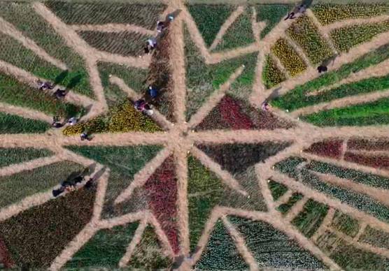 Foto e video di Gian Maria Zanotti