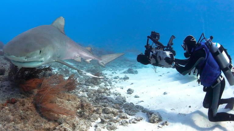 Il regista riminese del mondo sommerso vince l’ennesimo premio internazionale GALLERY