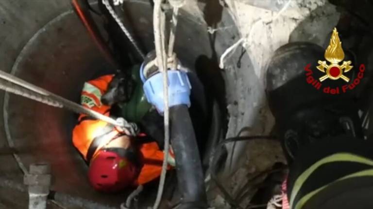 Salvato un cane caduto all'interno di un pozzo a Savignano - VIDEO
