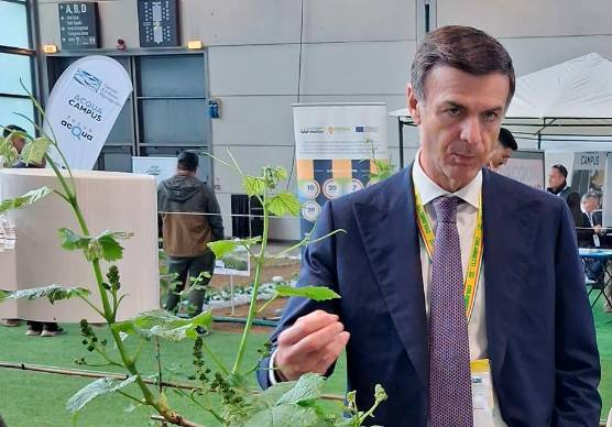 Il presidente di Coldiretti Ettore Prandini al Macfrut di Rimini