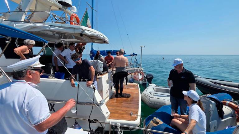 Riccione arruola i polpi per sconfiggere il granchio blu