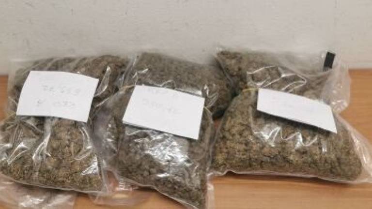 Arrestati dalla polizia di Cesena con un chilo e mezzo di marijuana