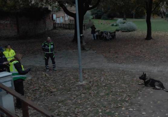 Faenza, cani sotto attacco: ricerca di bocconi avvelenati ai parchi Tassinari e Bertozzi