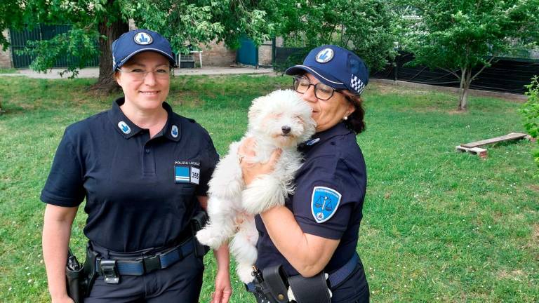 Due agenti insieme alla cagnolina salvata