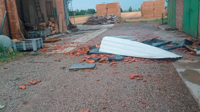 Maltempo, nell’Imolese danni ingenti in agricoltura. A Forlì-Cesena 36 interventi dei vigili del fuoco