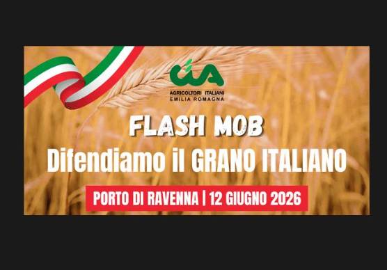 Ravenna, centinaia di agricoltori manifestano al porto