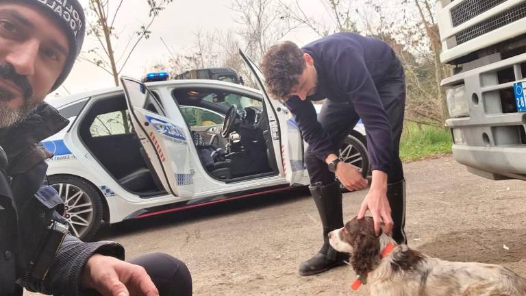 Ravenna, lancia il cane dall’auto in corsa sulla statale Romea