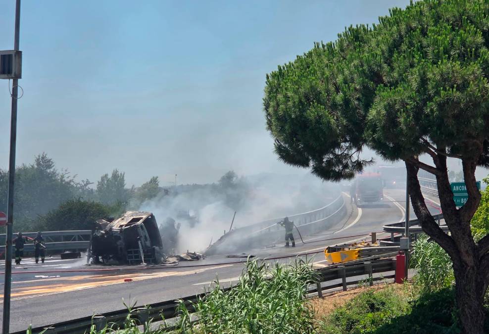 Foto e video Migliorini